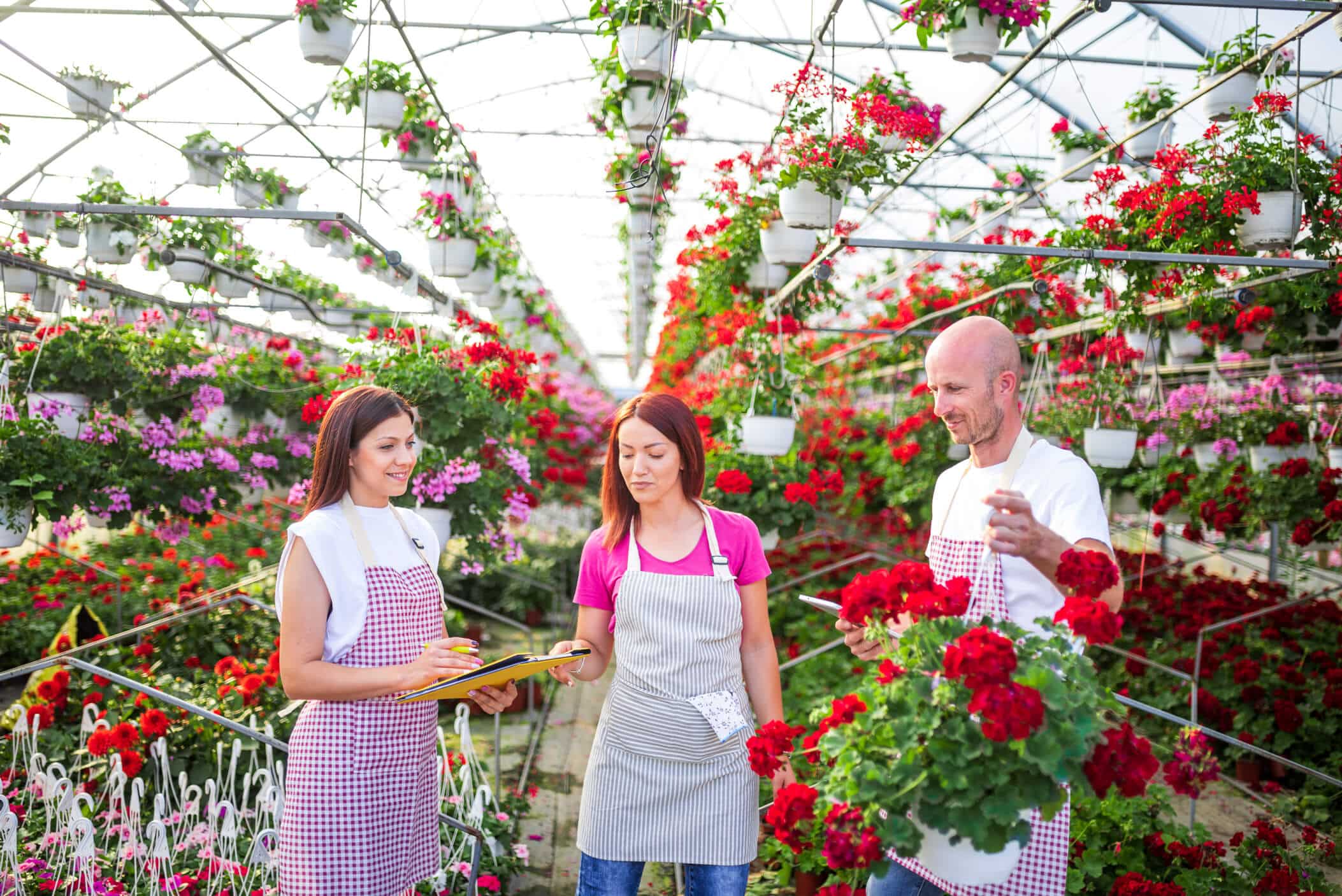 Smarter Local Delivery for Garden Centres with SMART